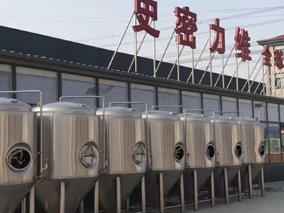 犍为精酿啤酒设备厂—如何判断精酿啤酒设备的密封件需要更换？